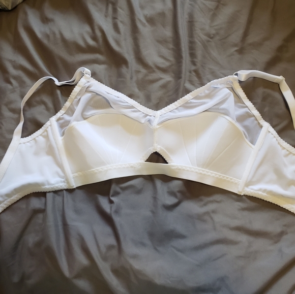 What Katie Did Liz bra 34F - Picture 5 of 6